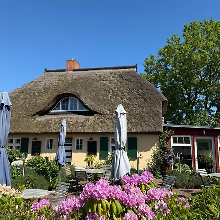 Rosengarten Apartament Zingst